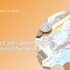 Money in Japan: Cash, Cards, and IC Cards Explained Simply